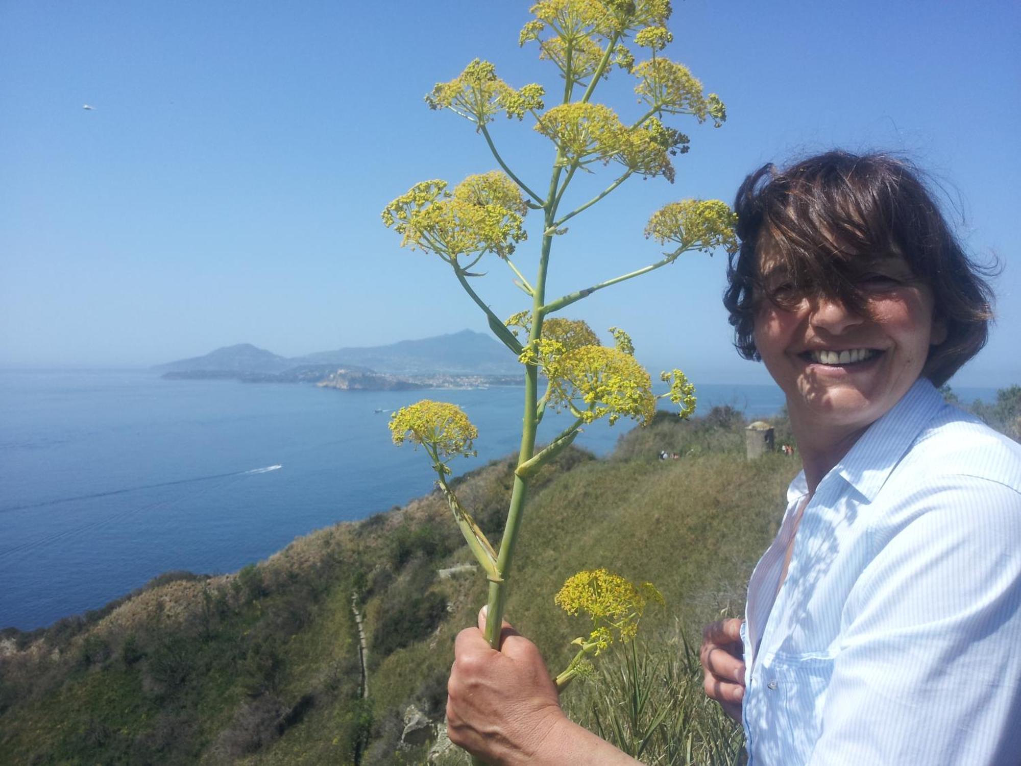Mary'S Dream - Villa Overlooking Capri And Ischia In Sorrento Peninsula ماسّا لوبْرينسِ المظهر الخارجي الصورة